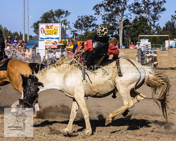 Moruya_Rodeo_2009 139