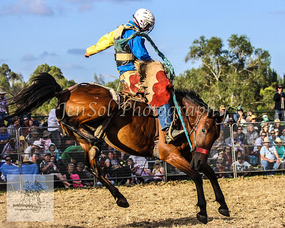 Moruya_Rodeo_2009 209