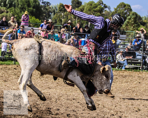 Moruya_Rodeo_2009 101
