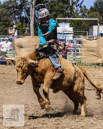 Moruya_Rodeo_2009 093