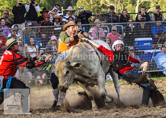 Moruya_Rodeo_2009 226