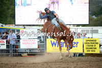QueanbeyanRodeo2016_6430