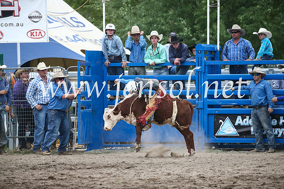 MoruyaRodeo2017_6064
