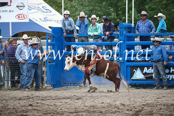 MoruyaRodeo2017_6063