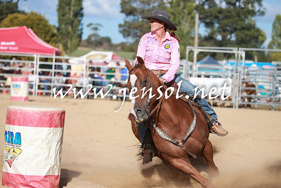BraidwoodRodeo2016_4146