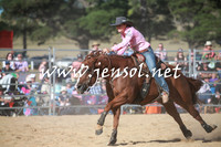 BraidwoodRodeo2016_4158