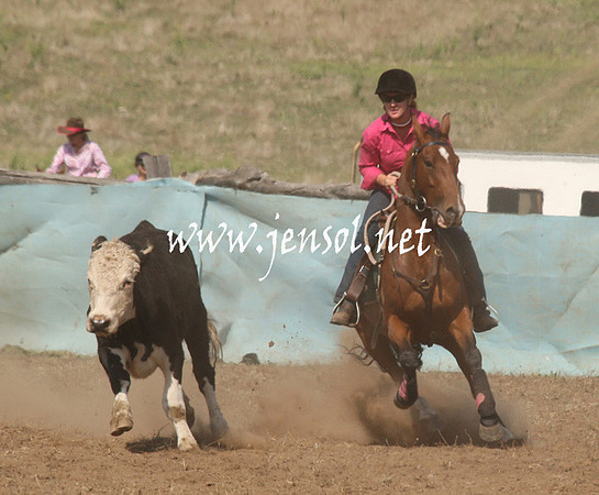 CabanandraCampdraft2013_1D_0706