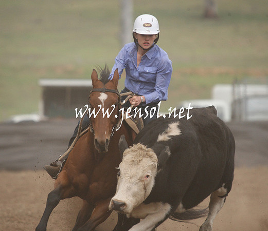 CabanandraCampdraft2013_1D_0867