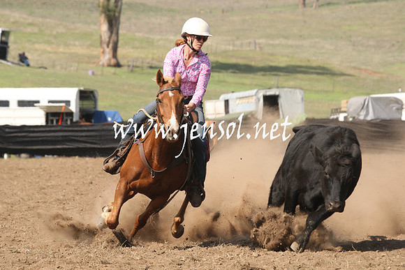 CabanandraCampdraft2013_1D_0727