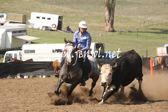 CabanandraCampdraft2013_1D_0699