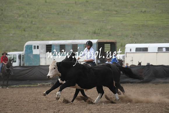 CabanandraCampdraft2013_1D_0795