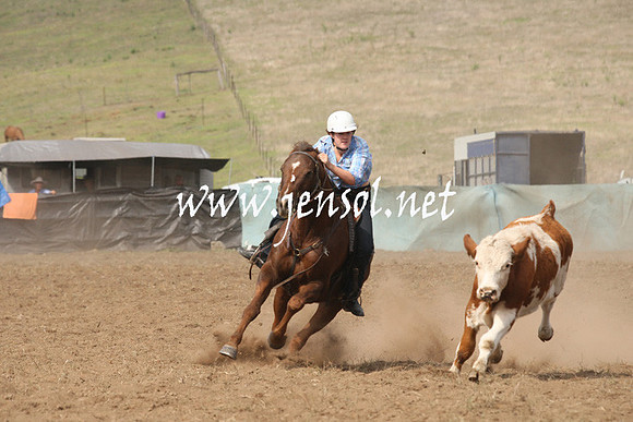 CabanandraCampdraft2013_1D_0568