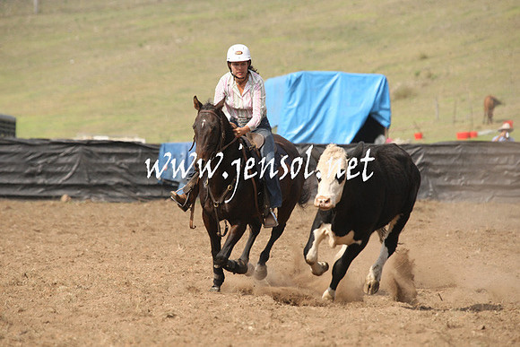 CabanandraCampdraft2013_1D_0591