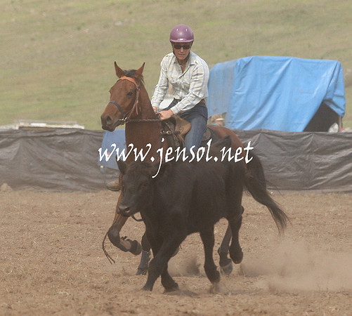 CabanandraCampdraft2013_1D_0834