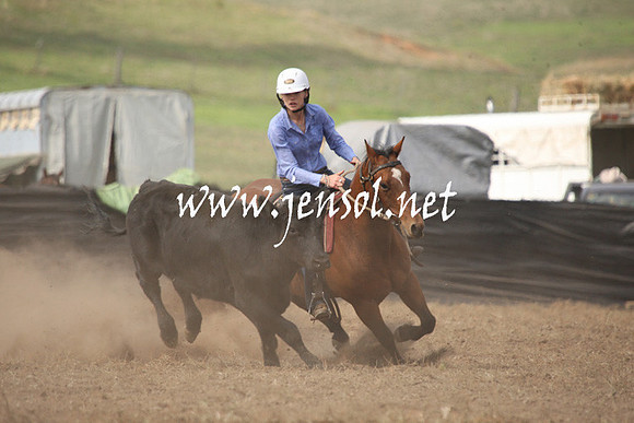 CabanandraCampdraft2013_1D_0583
