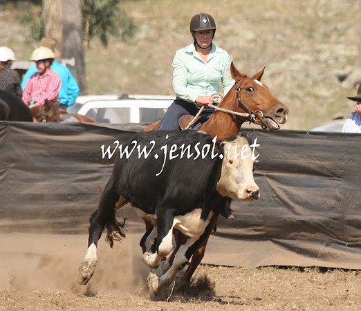 CabanandraCampdraft2013_1D_0758