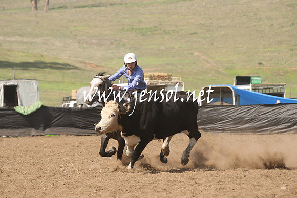 CabanandraCampdraft2013_1D_0697