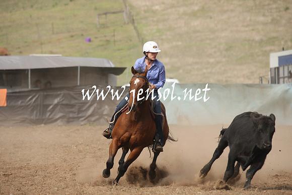 CabanandraCampdraft2013_1D_0573