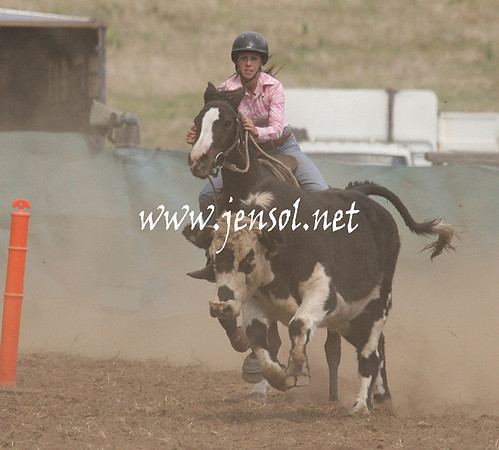 CabanandraCampdraft2013_1D_0881