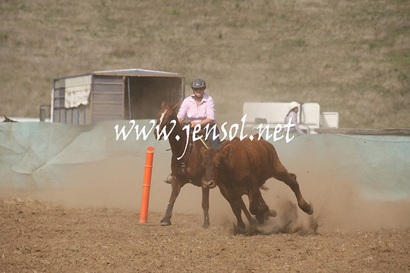 CabanandraCampdraft2013_1D_0641