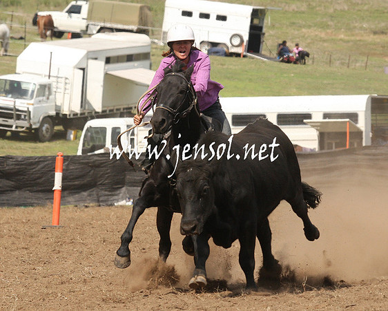 CabanandraCampdraft2013_1D_0896