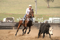 CabanandraCampdraft2013_1D_0523