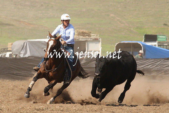 CabanandraCampdraft2013_1D_0752