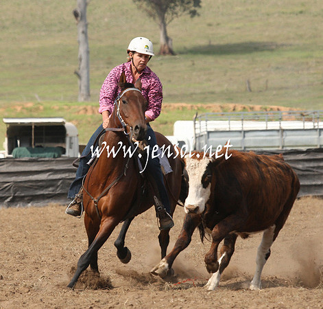 CabanandraCampdraft2013_1D_0612