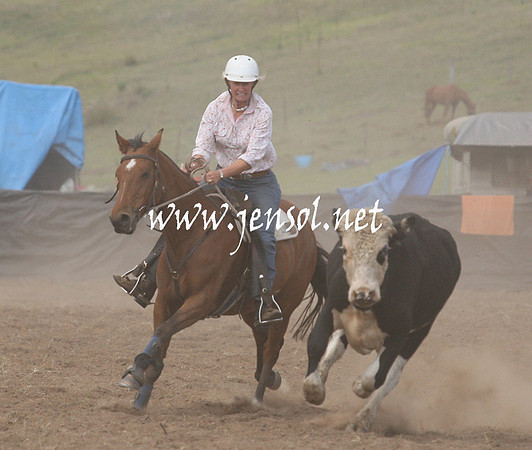 CabanandraCampdraft2013_1D_0803