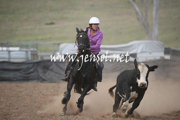 CabanandraCampdraft2013_1D_0790