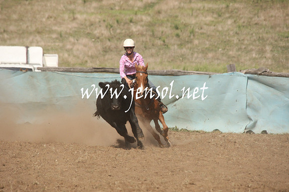 CabanandraCampdraft2013_1D_0714