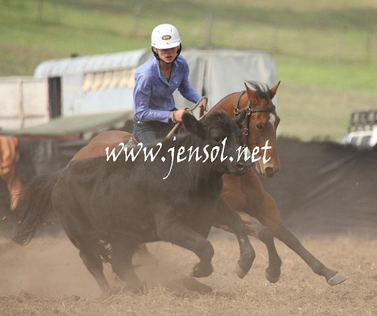 CabanandraCampdraft2013_1D_0581