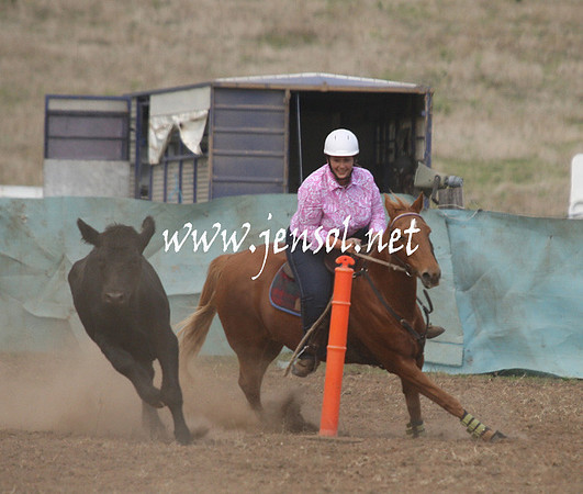CabanandraCampdraft2013_1D_0809