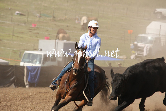 CabanandraCampdraft2013_1D_0756