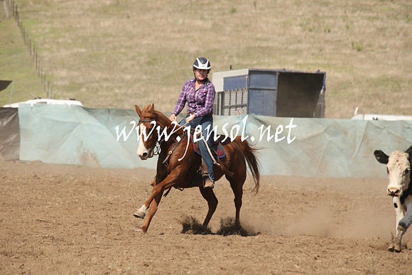 CabanandraCampdraft2013_1D_0712