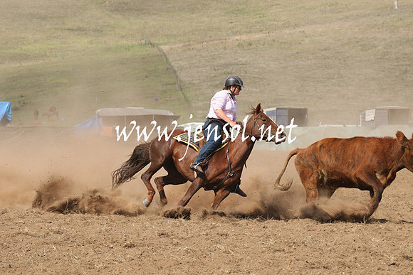 CabanandraCampdraft2013_1D_0648