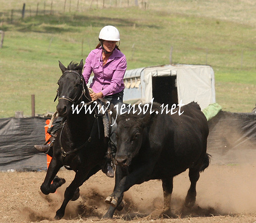 CabanandraCampdraft2013_1D_0893