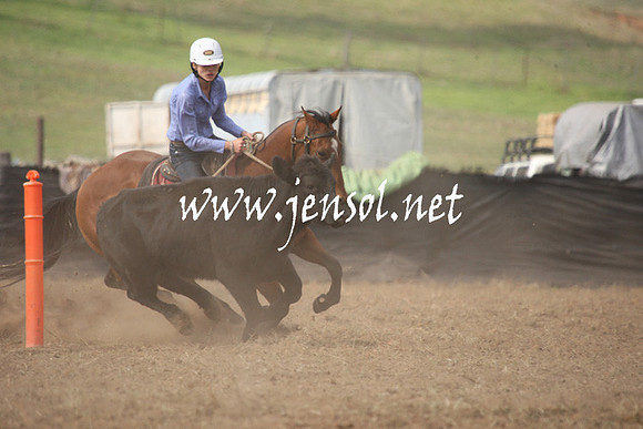CabanandraCampdraft2013_1D_0579