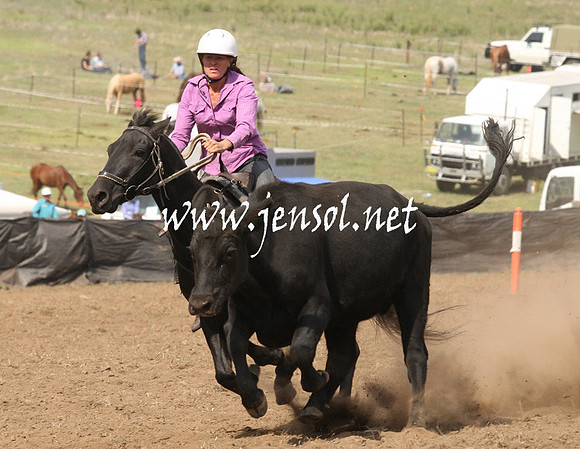 CabanandraCampdraft2013_1D_0900