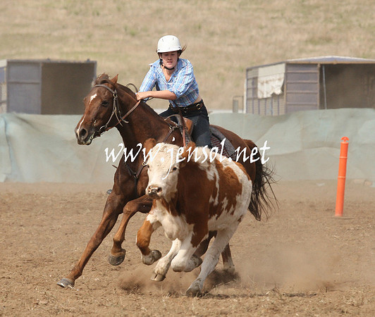 CabanandraCampdraft2013_1D_0566