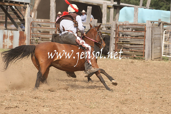 CabanandraCampdraft2013_1D_0551