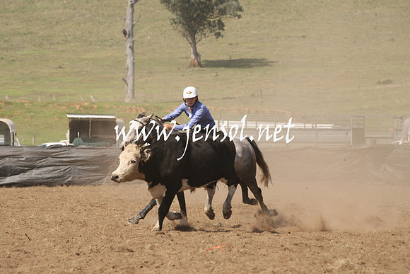 CabanandraCampdraft2013_1D_0695