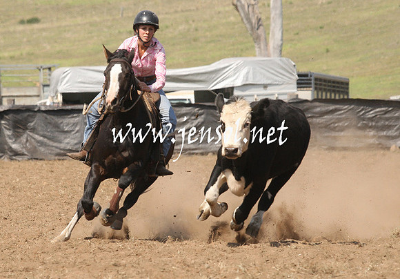 CabanandraCampdraft2013_1D_0765