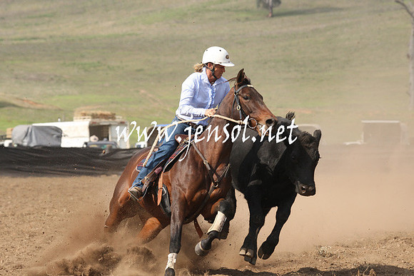 CabanandraCampdraft2013_1D_0640