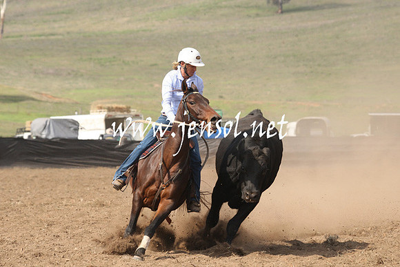 CabanandraCampdraft2013_1D_0637