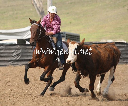 CabanandraCampdraft2013_1D_0607
