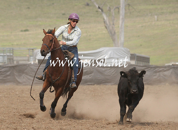 CabanandraCampdraft2013_1D_0837
