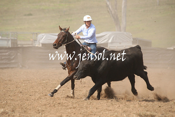 CabanandraCampdraft2013_1D_0631