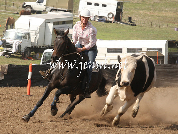 CabanandraCampdraft2013_1D_0596