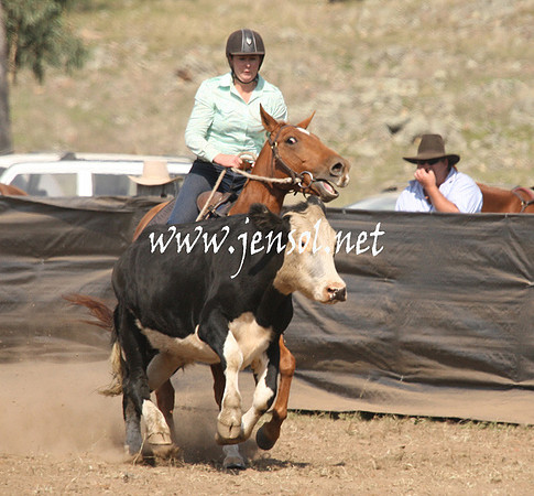 CabanandraCampdraft2013_1D_0759